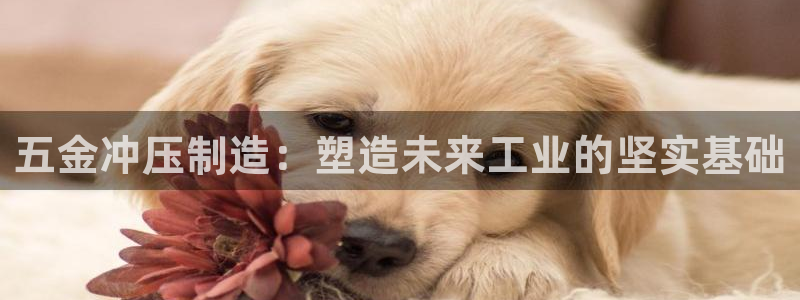 谈球吧官网app