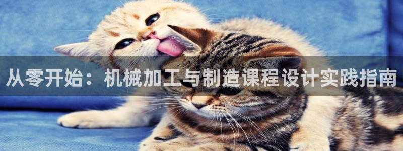 谈球吧官网入口在线观看