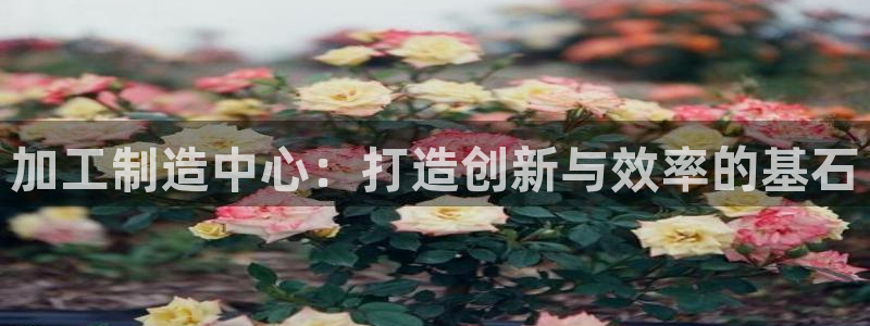 谈球吧与普通平台对比