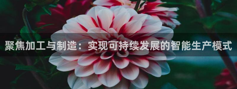 谈球吧体育app下载中心