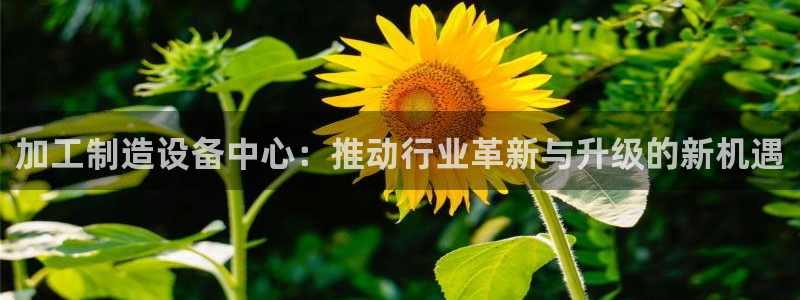 谈球吧app赛事分析在哪里看到
