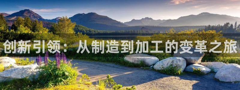 谈球吧app赛事分析报告模板