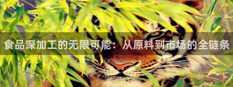 谈球吧体育在线