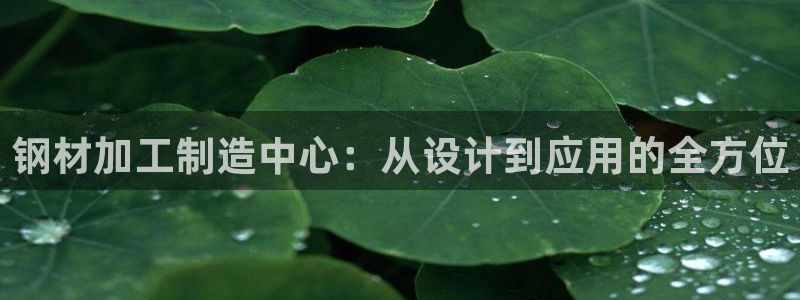 谈球吧官网在线入口免费观看高清