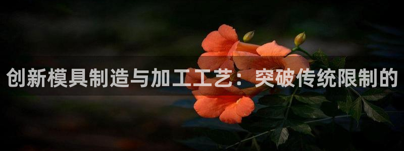谈球吧网页版在线入口