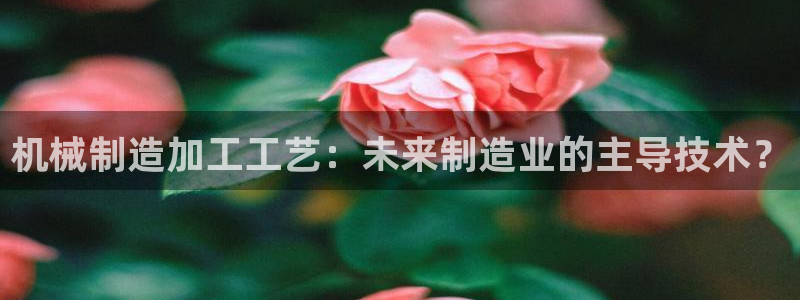 谈球吧咋样
