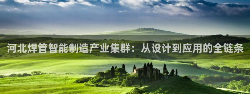 谈球吧官网入口在线观看