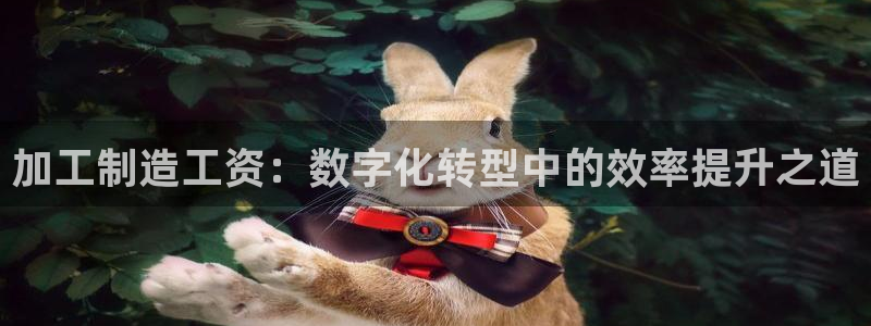 谈球吧算违法行为吗知乎