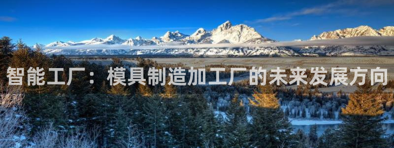 谈球吧官网登录
