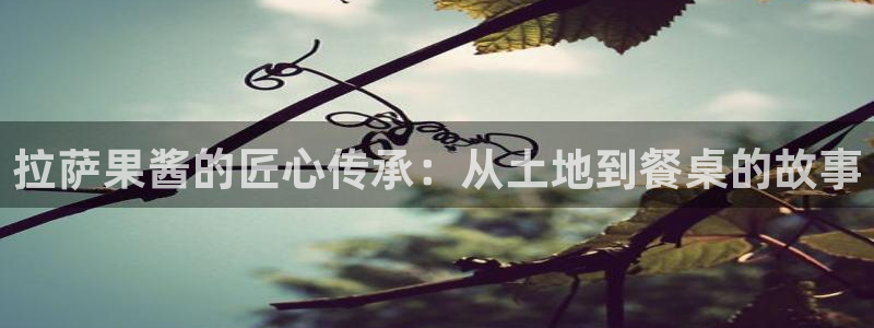 谈球吧平台正规吗可信吗安全吗