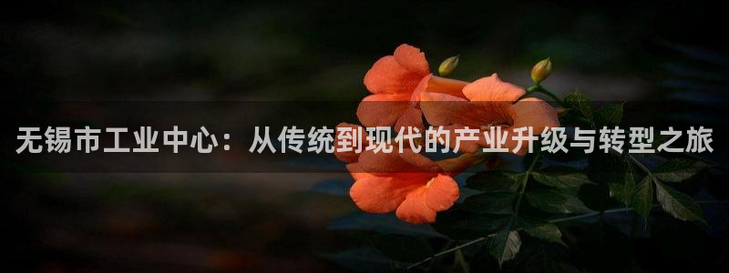 谈球吧体育app下载中心官网苹果
