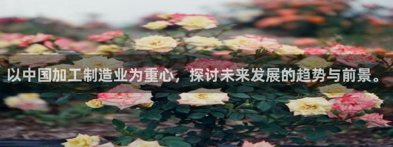 谈球吧官网在线入口手机版免费下载