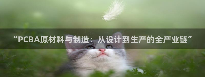 谈球吧app官网下载安卓