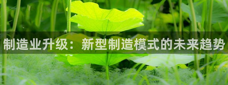 谈球吧app下载